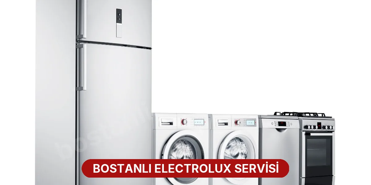 Bostanlı Electrolux Servisi