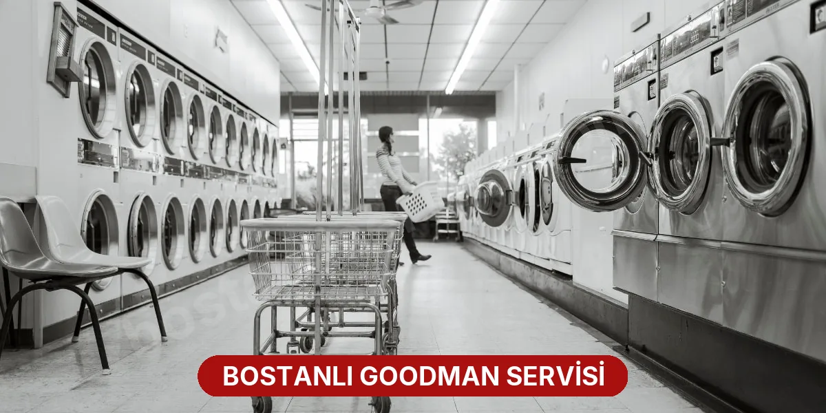 Bostanlı Goodman Servisi
