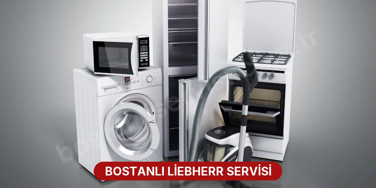 Bostanlı Liebherr Servisi
