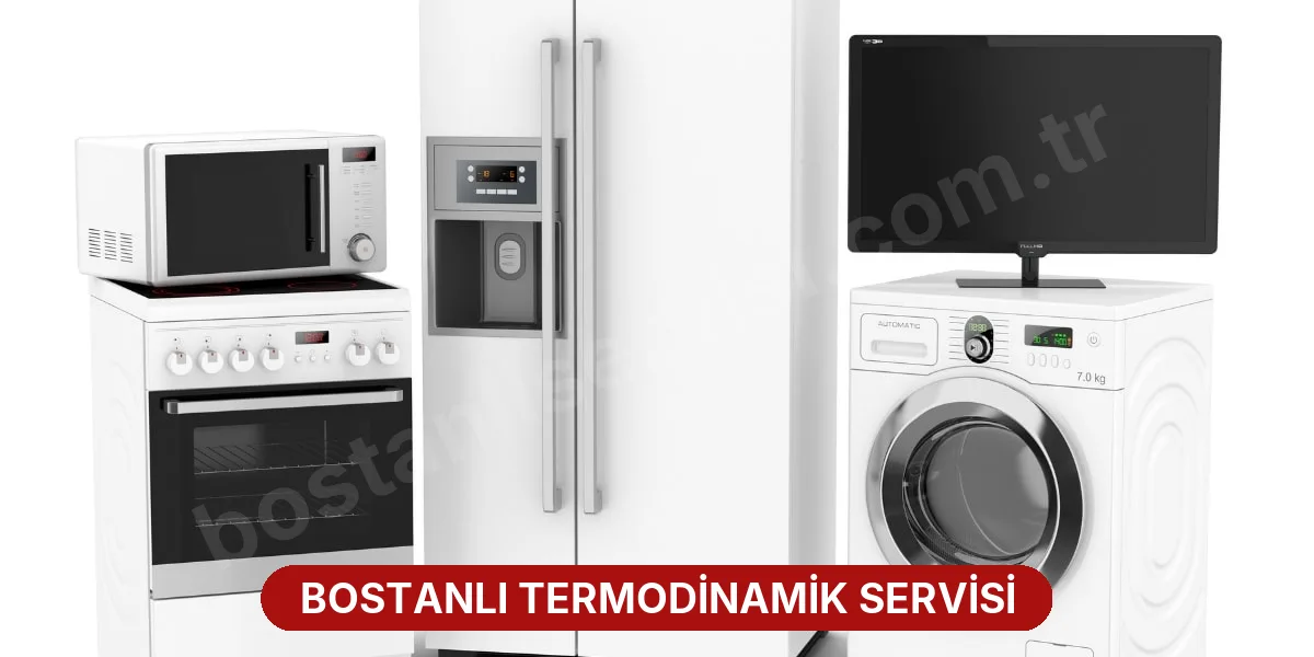 Bostanlı Termodinamik Servisi